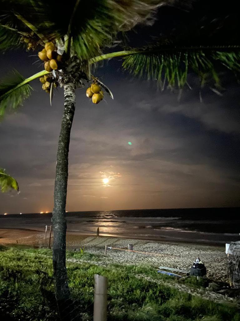 Ancorar Resort Beira-Mar De Pôrto das Galinhas エクステリア 写真